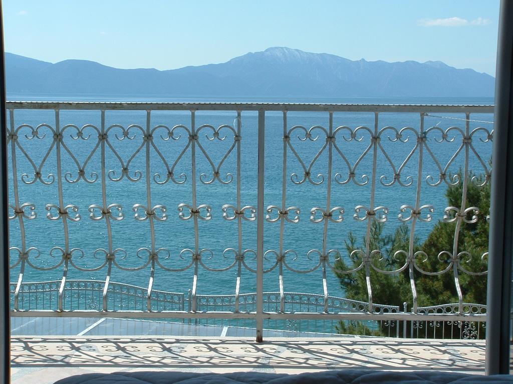 Guesthouse Kod Irene Gradac  Exteriér fotografie